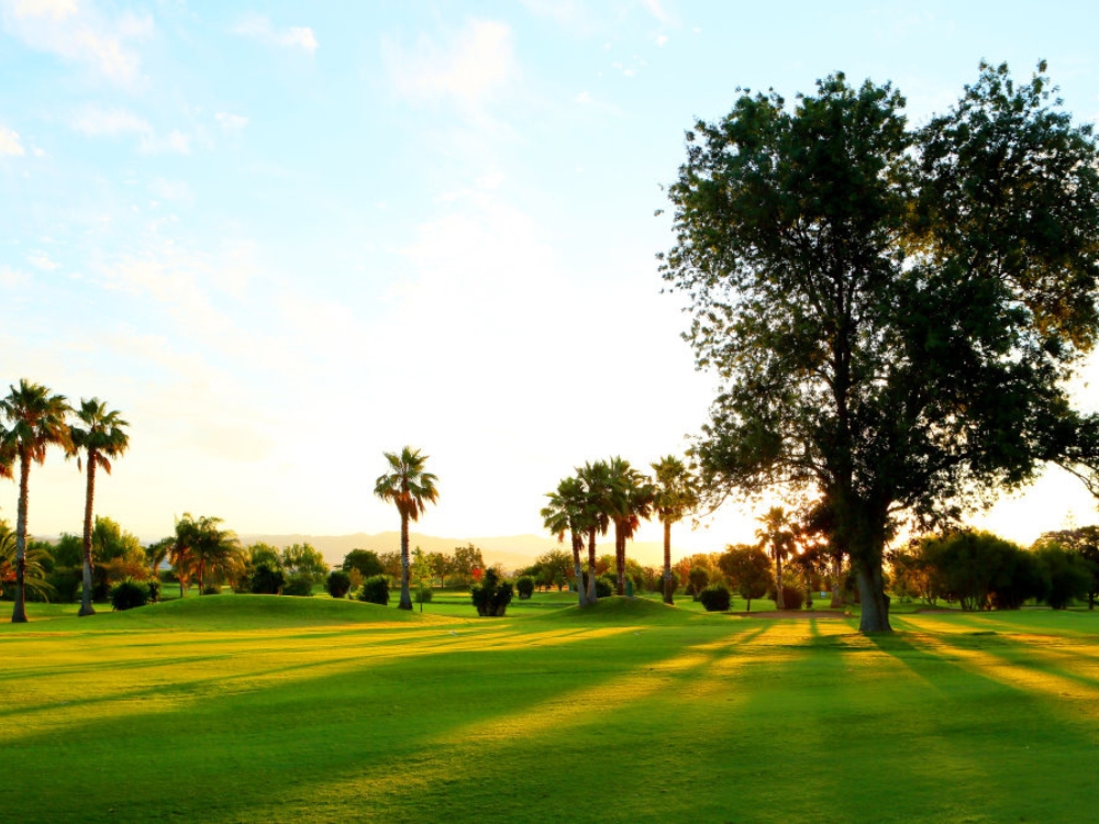 Real Club Guadalhorce Golf