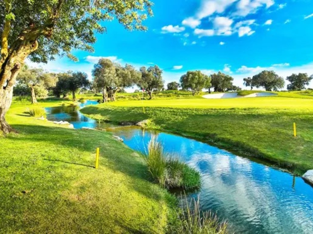 Quinta de Cima
