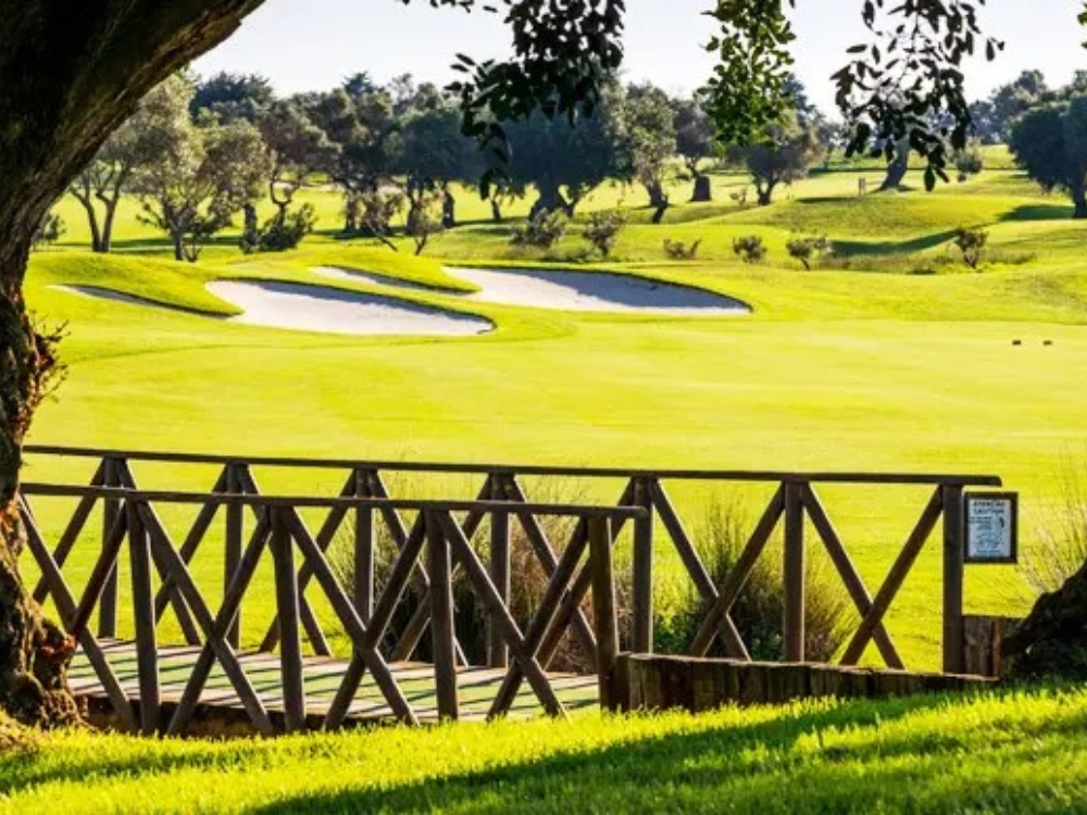 Quinta de Cima