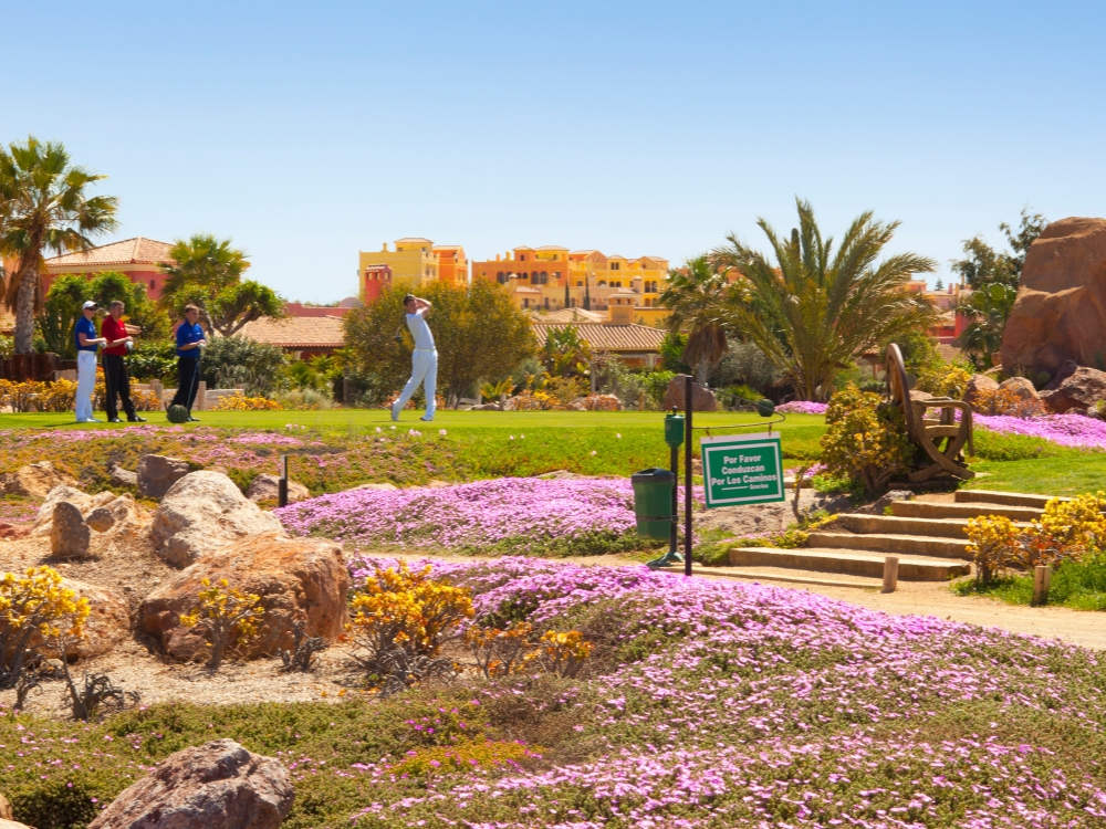 Desert Springs Golf Club