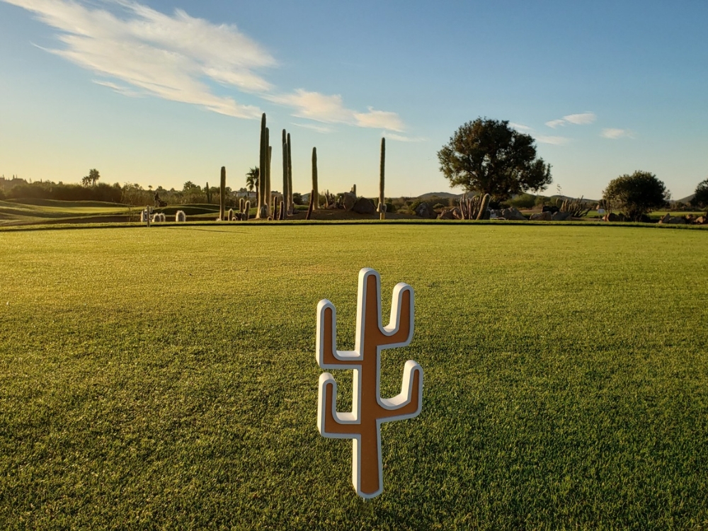 Desert Springs Golf Club