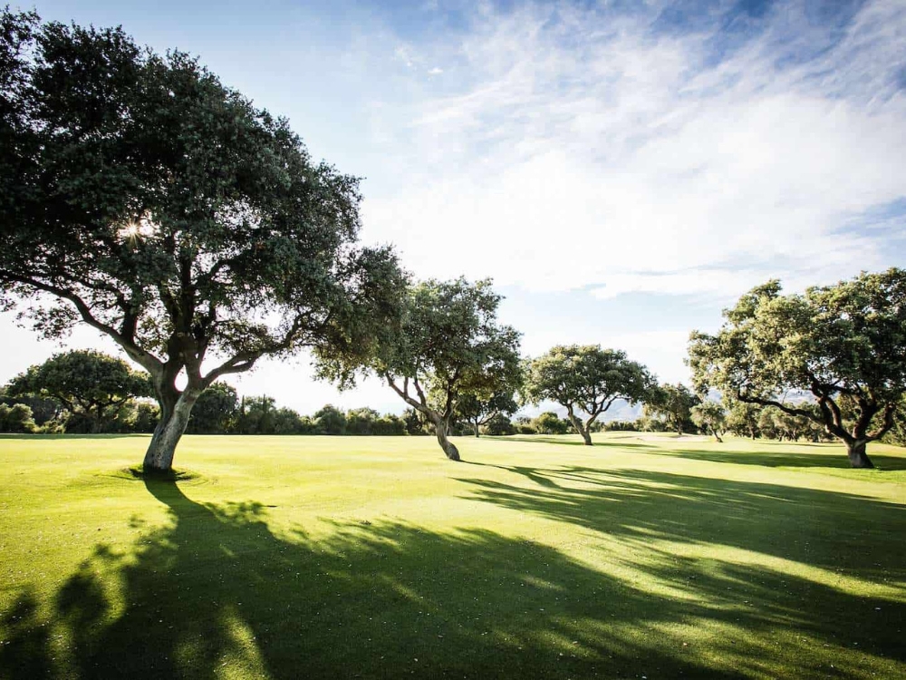 Lauro Golf Club