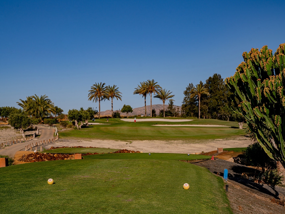 Valle De Este Golf Course