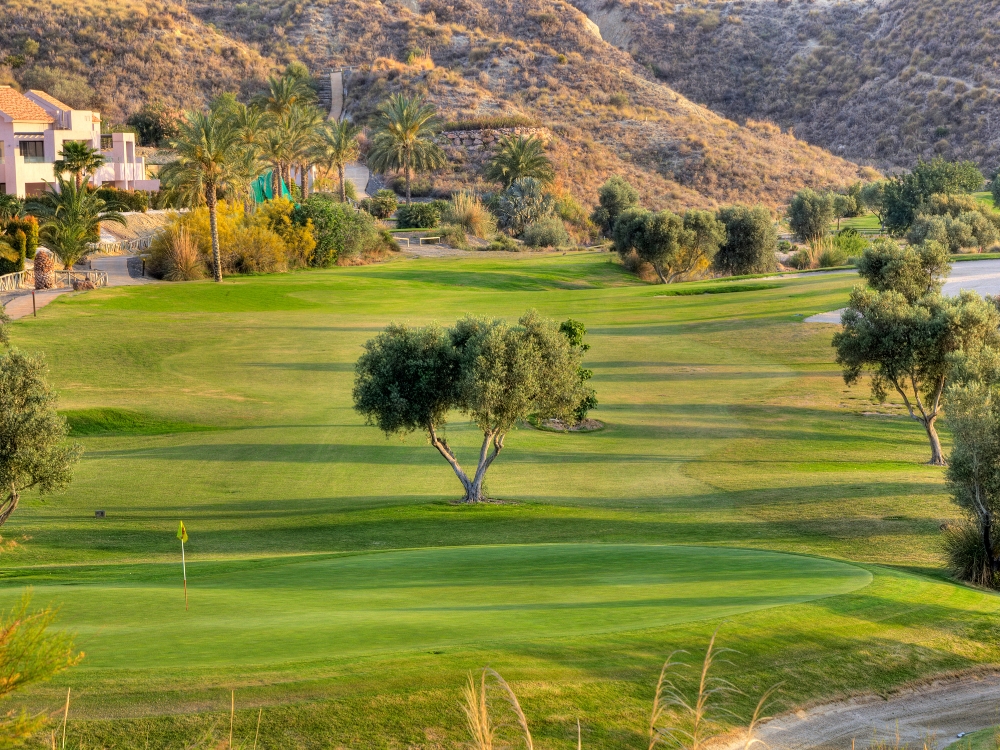 Valle De Este Golf Course
