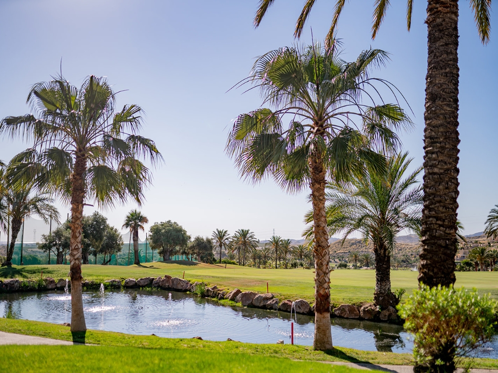 Valle De Este Golf Course