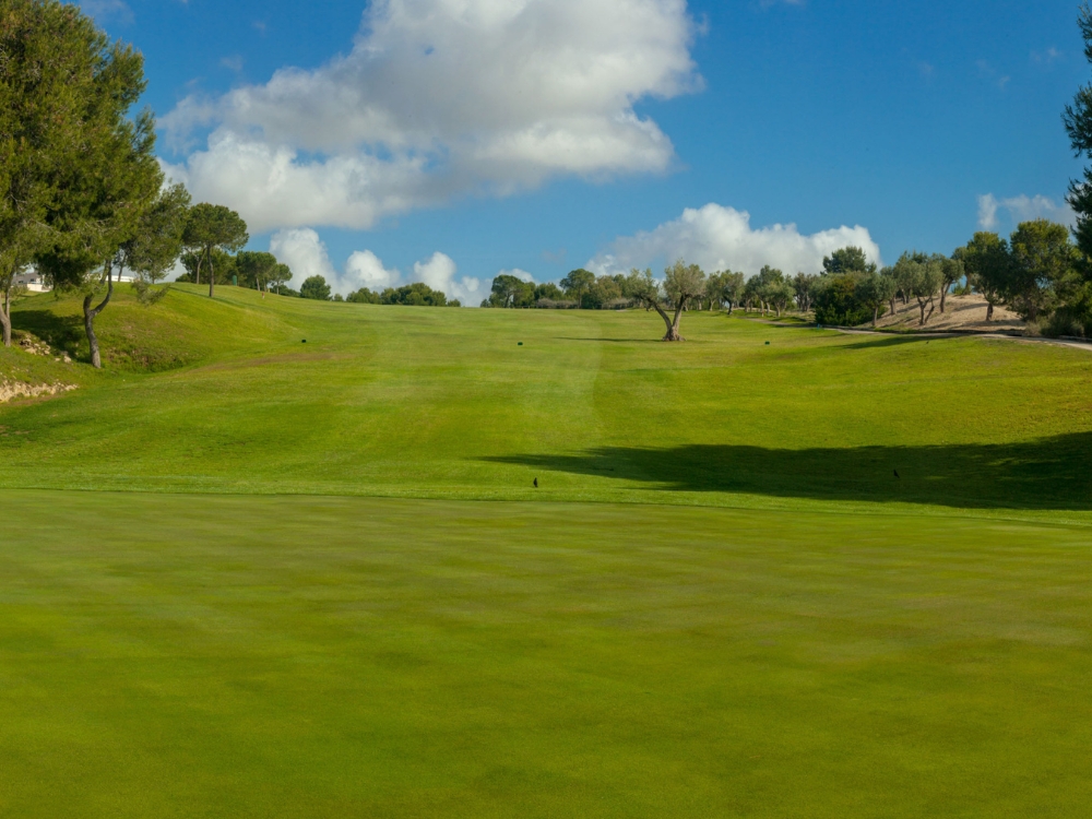 Club de Golf Alenda