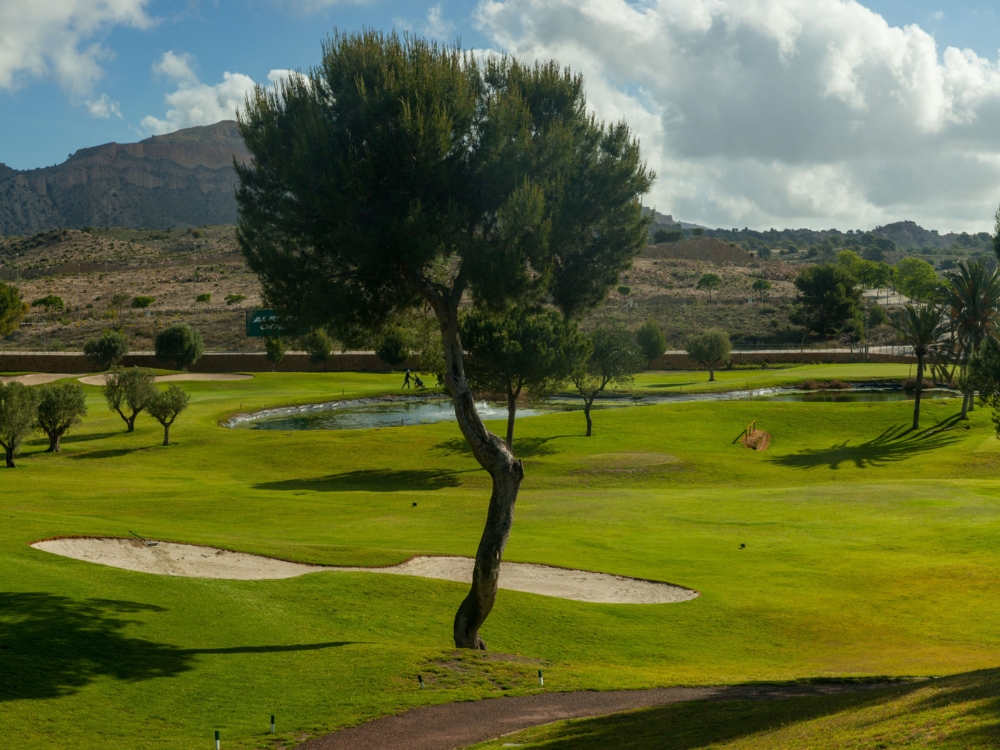 Club de Golf Alenda