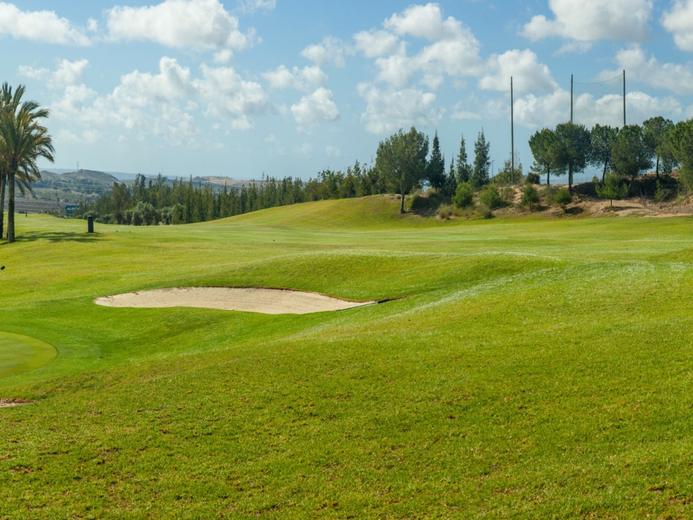Club de Golf Alenda