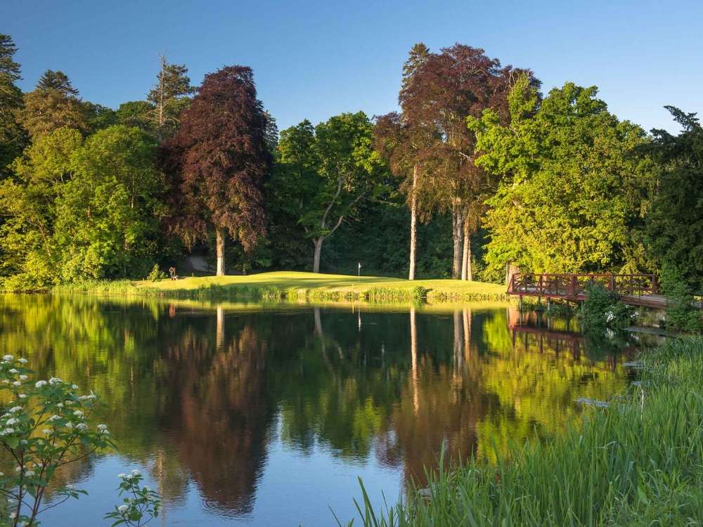 Carton House - O'Meara Course