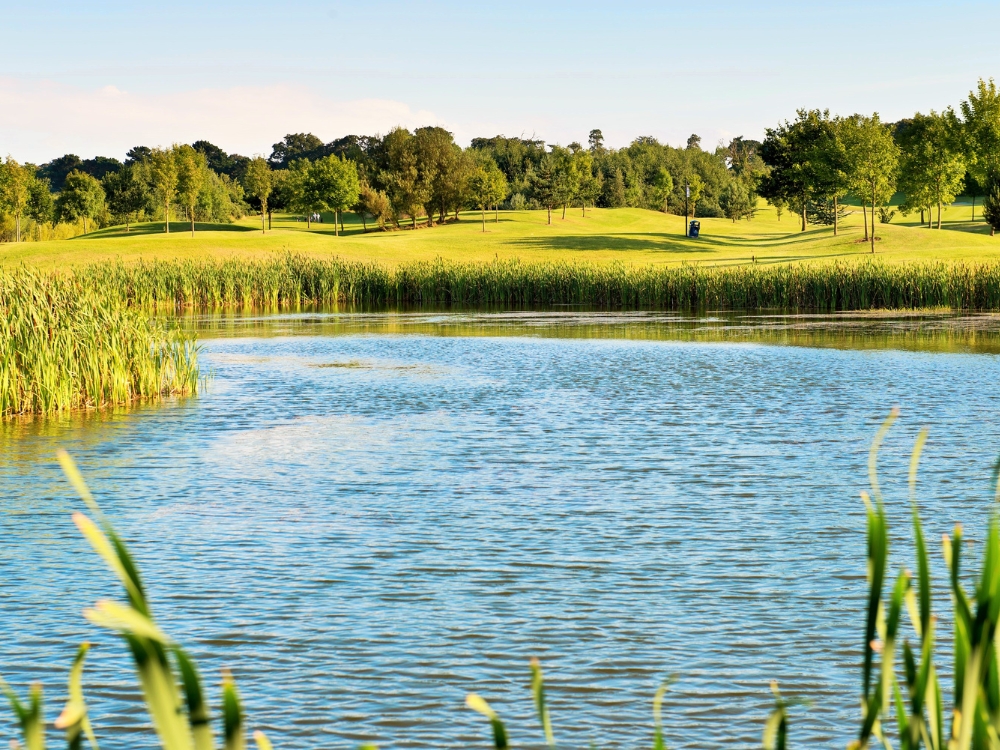 Roganstown Golf Course