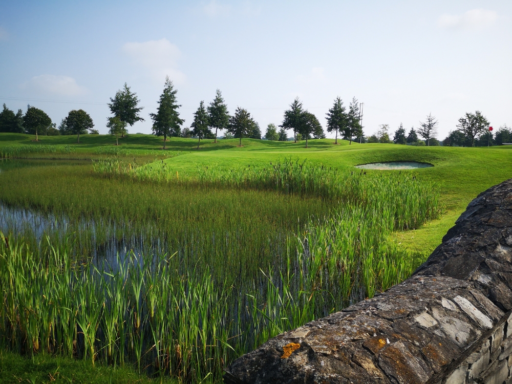 Roganstown Golf Course