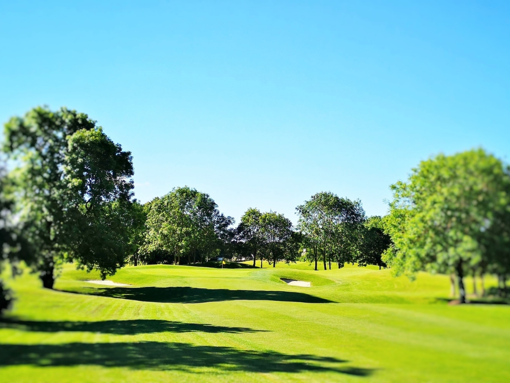 Roganstown Golf Course