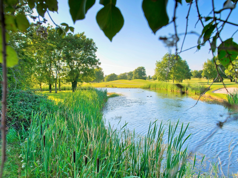 Roganstown Golf Course