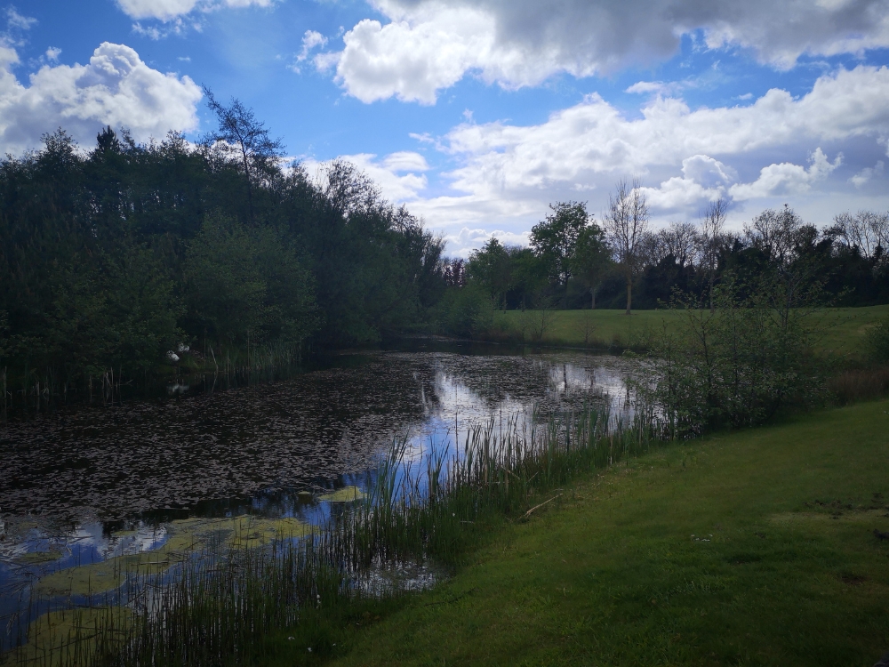 Roganstown Golf Course