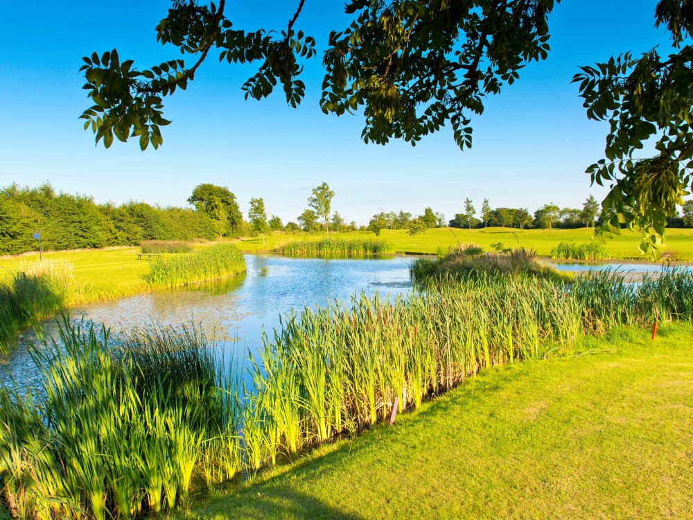 Roganstown Golf Course
