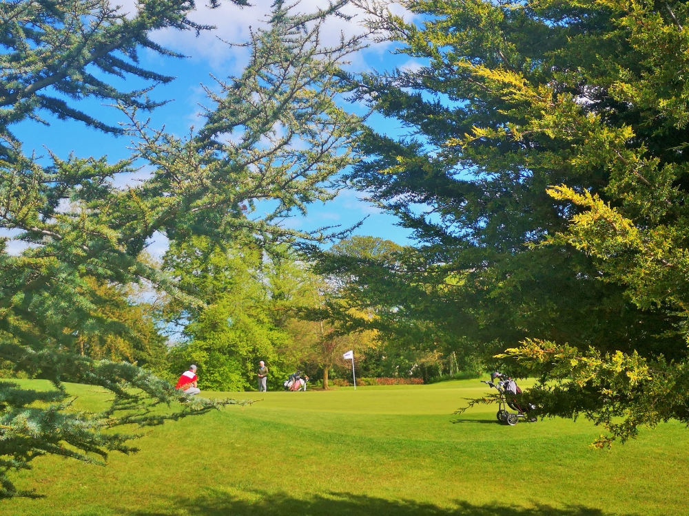 Roganstown Golf Course