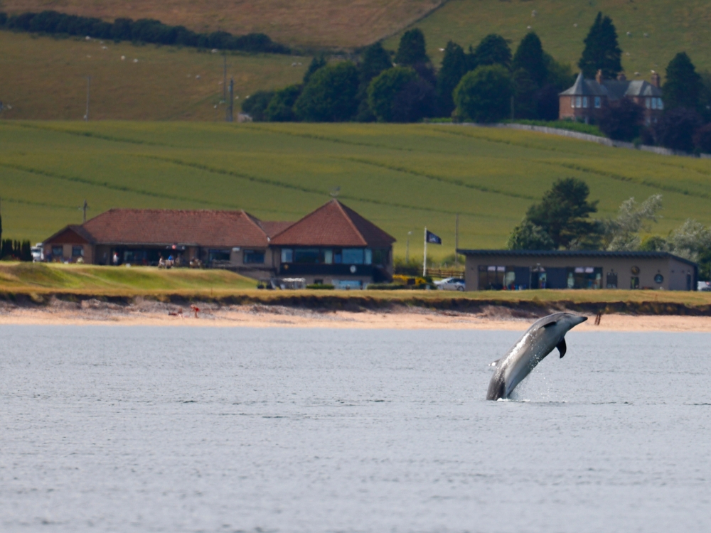 Fortrose & Rosemarkie Golf Club