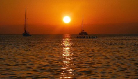 Catamaran - Party Cruise