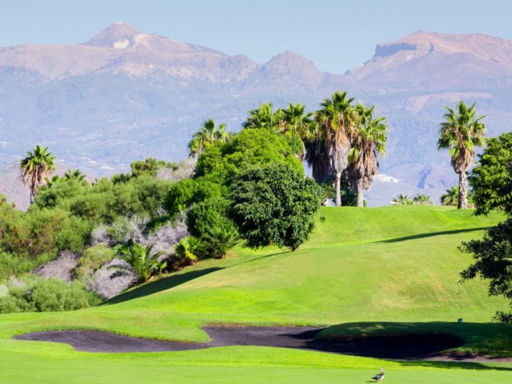 Golf del Sur