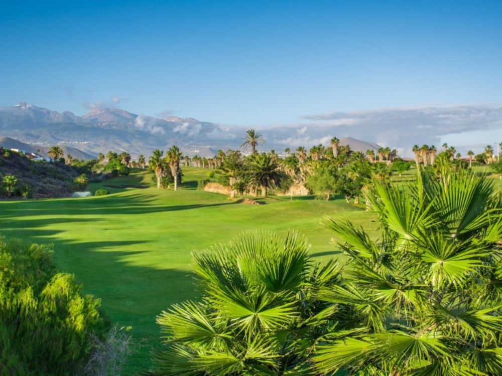 Golf del Sur