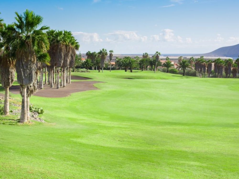 Golf del Sur