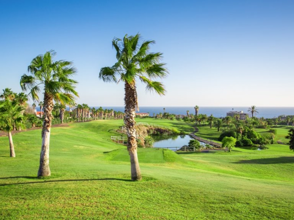 Golf del Sur