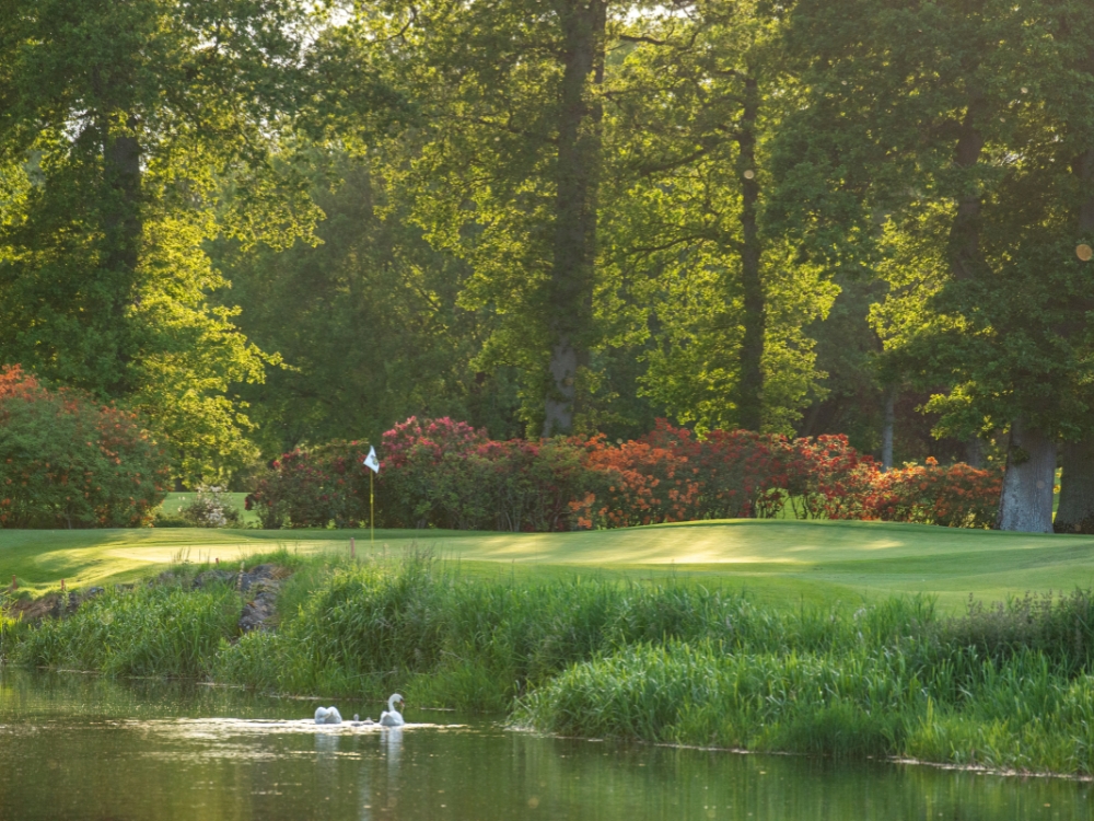 The K Club - Palmer North Course
