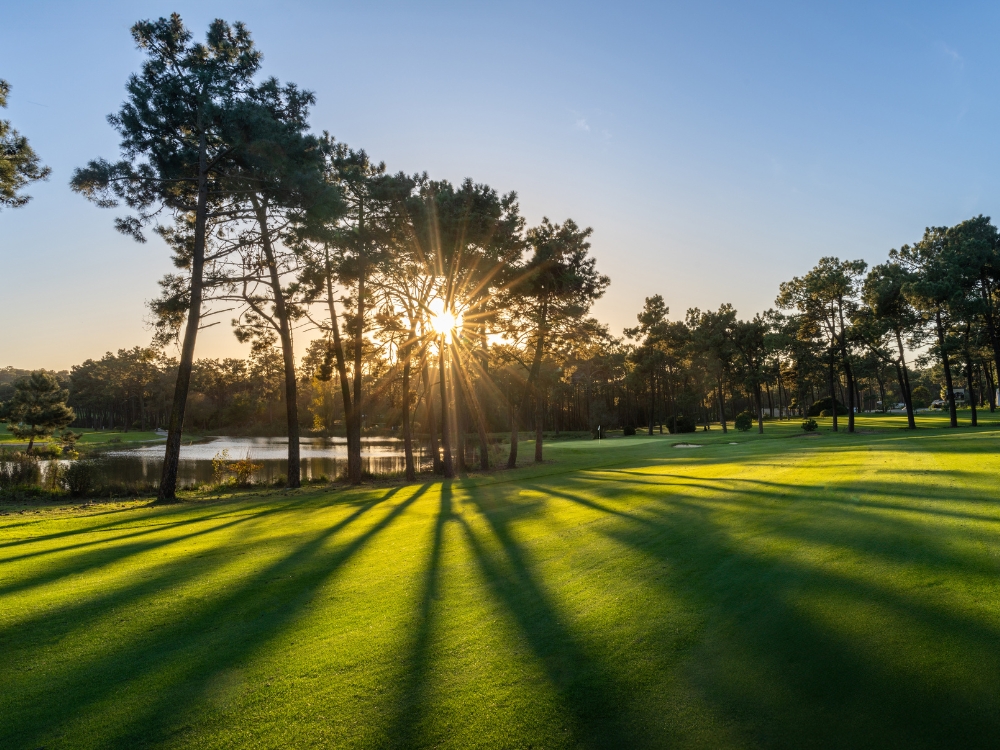 Aroeira Pines Classic Course