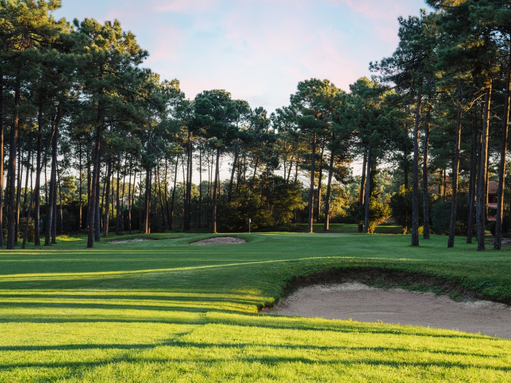 Aroeira Challange Course