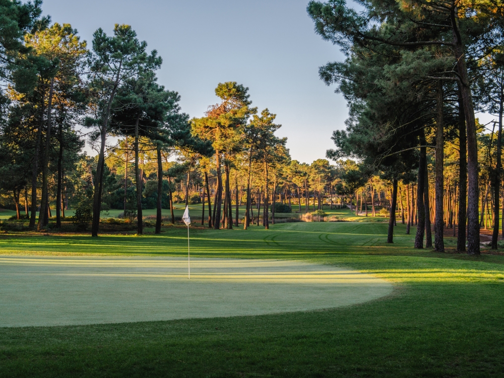 Aroeira Challange Course