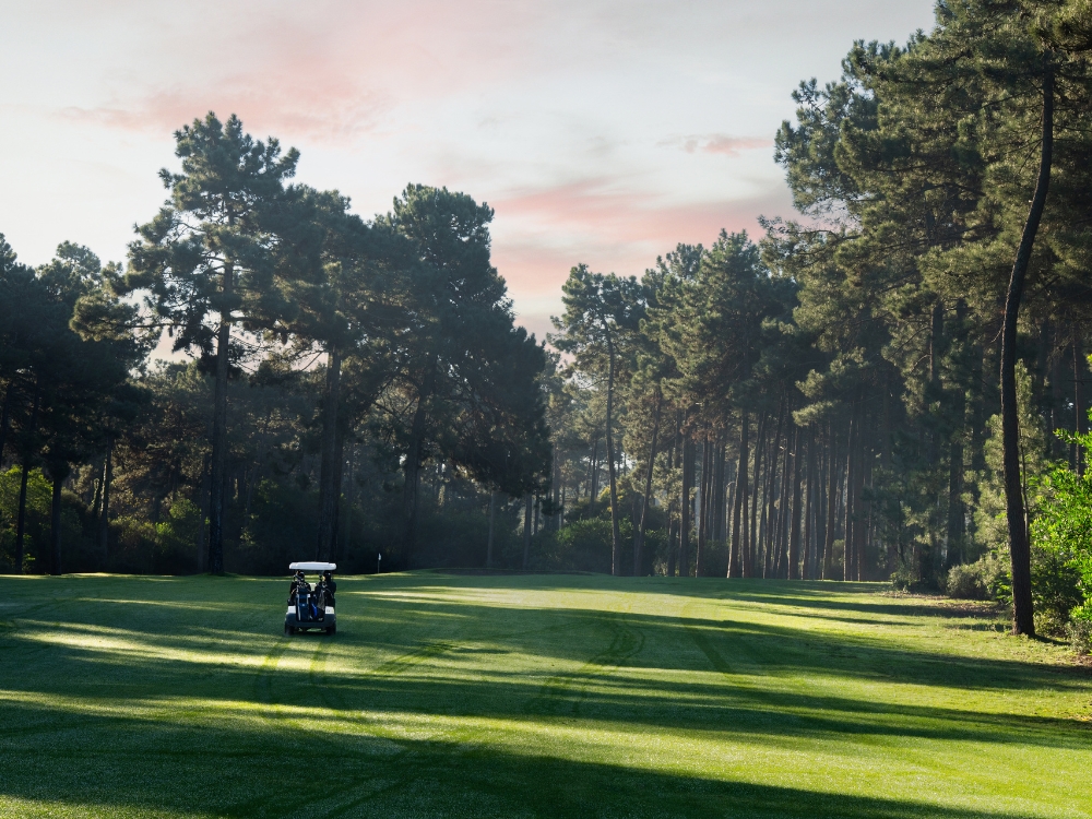 Aroeira Challange Course