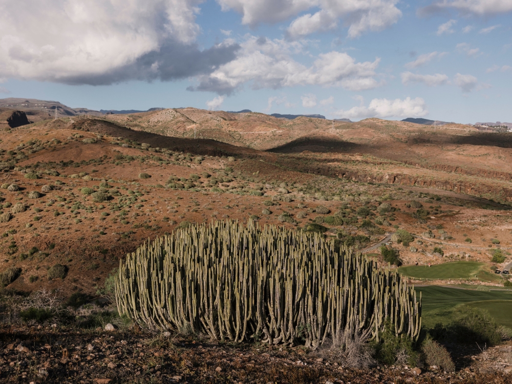 Salobre Golf Resort - New Course