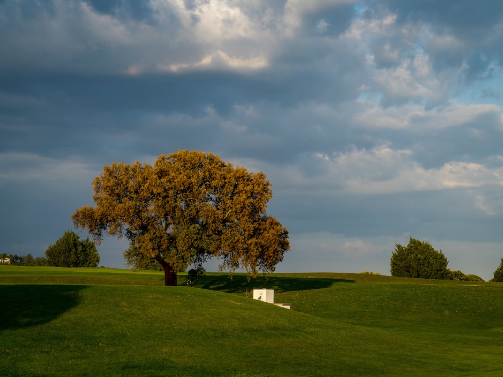 El Rompido North Course