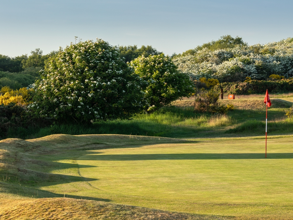 Irvine Bogside Golf Club