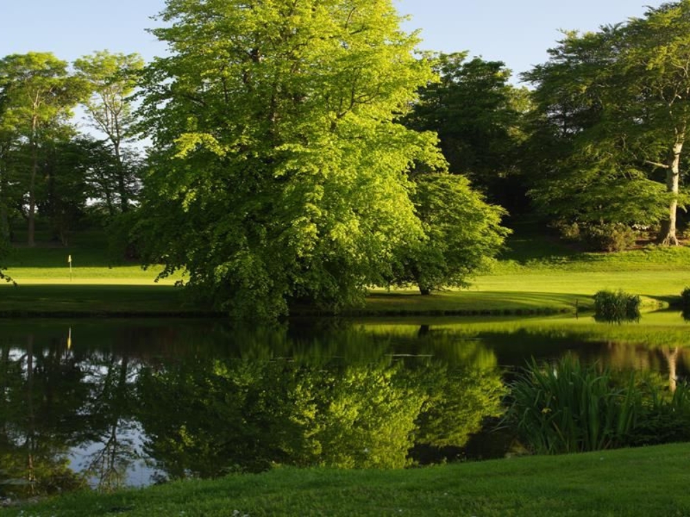Druids Glen Course