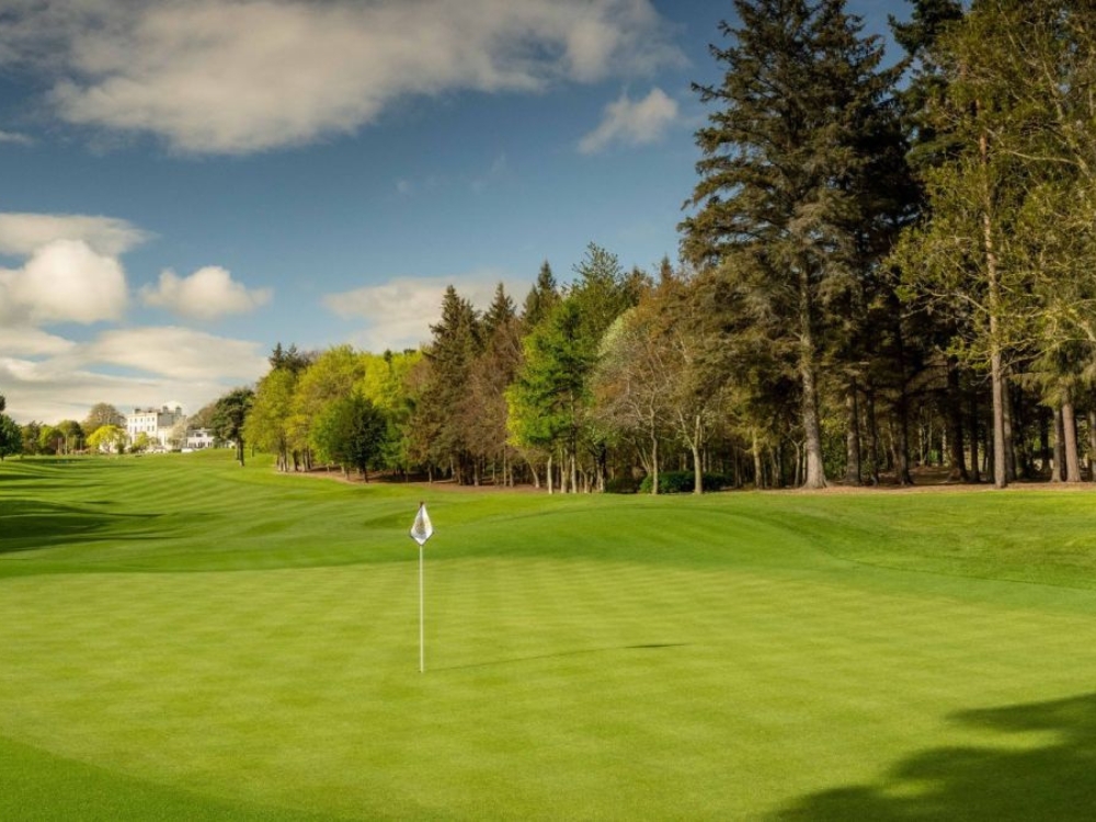 Druids Glen Course