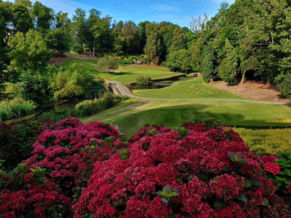 Druids Heath Course