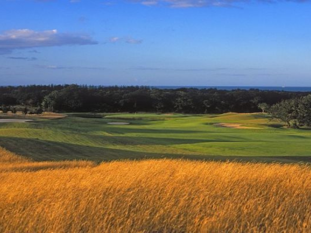 Druids Heath Course