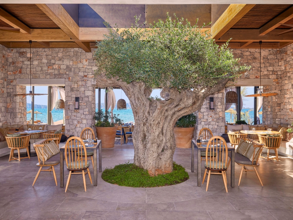 W Costa Navarino