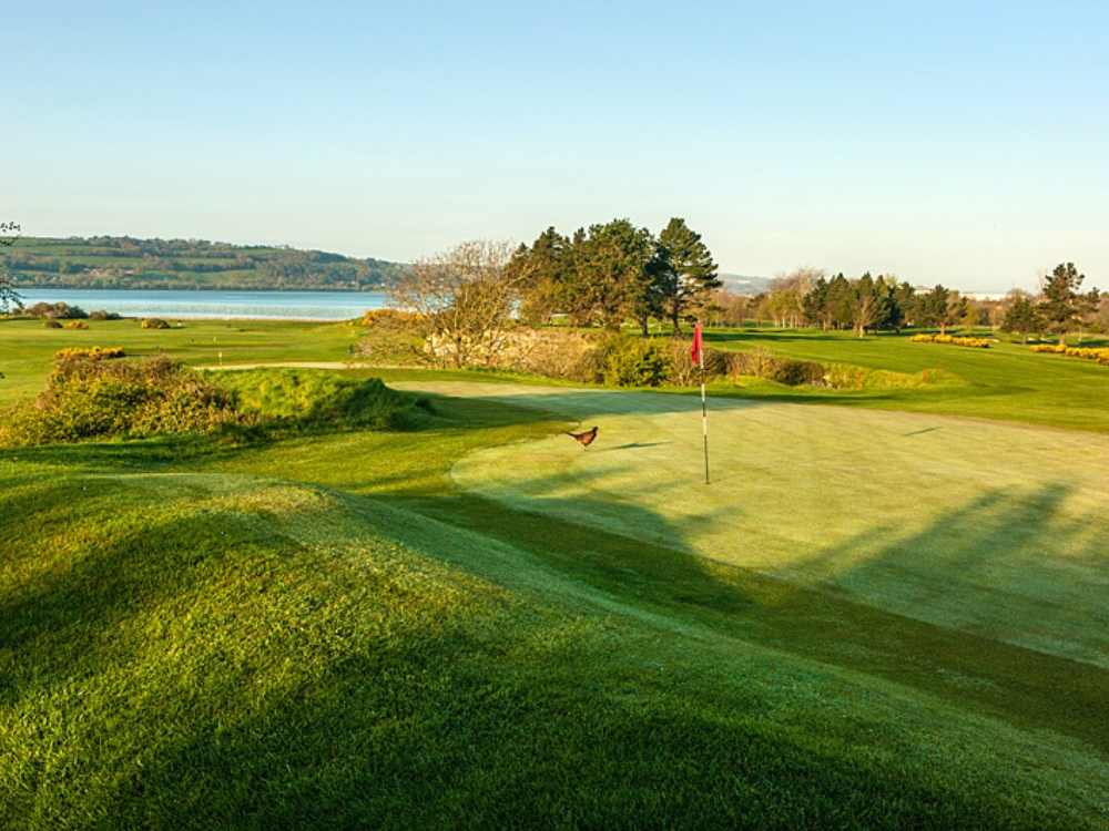 Cork Golf Club