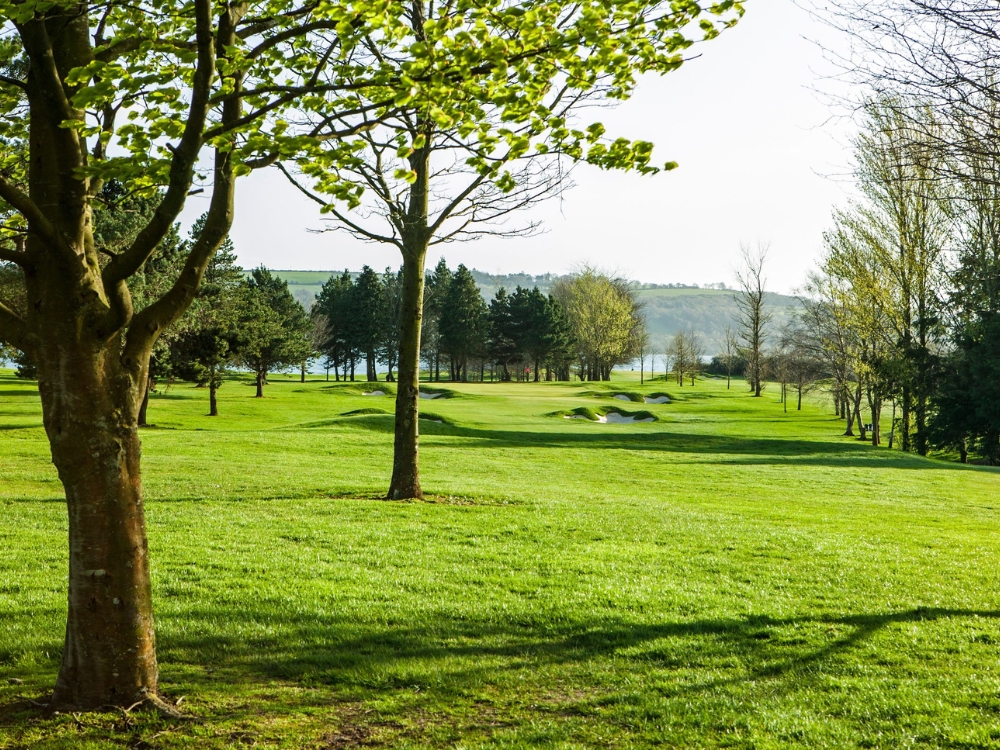Cork Golf Club