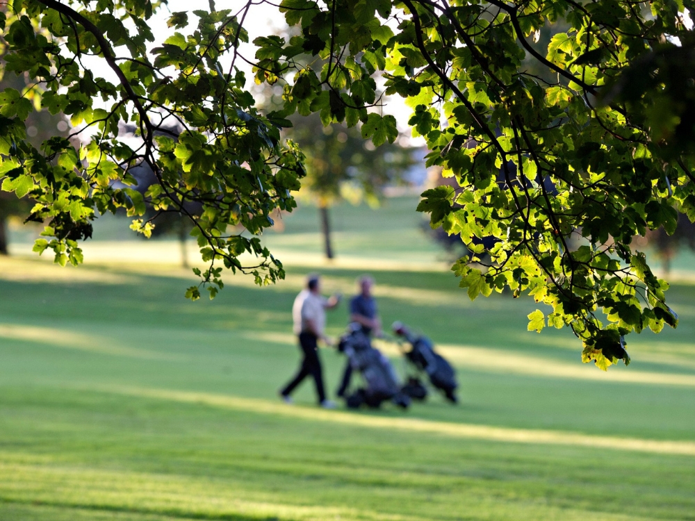 Fota Island Golf Club - Deerpark Course