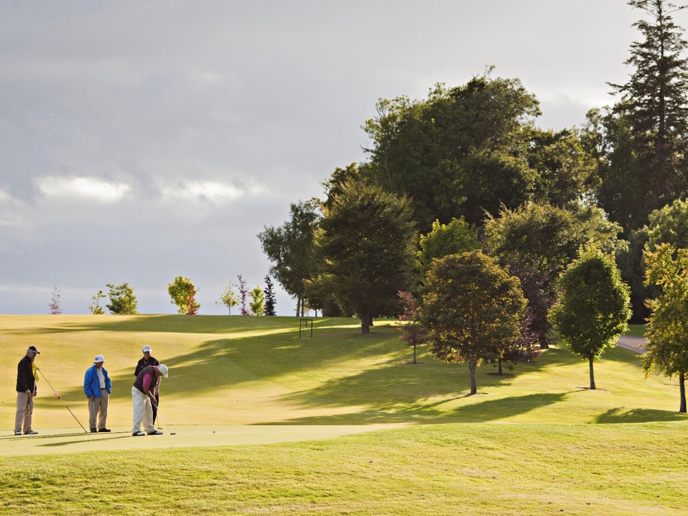 Fota Island Golf Club - Barryscourt Course