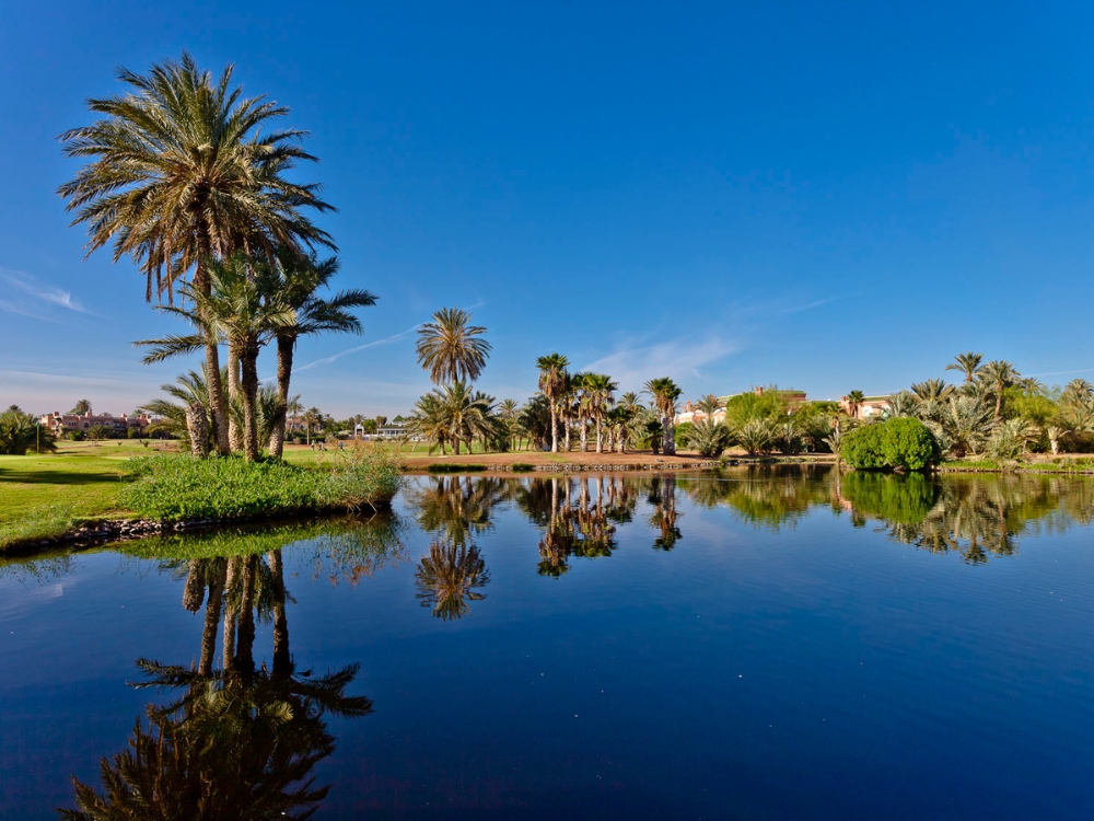 Hotel Du Golf by Pickalbatros