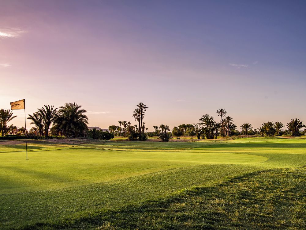 Palmeraie Golf Club