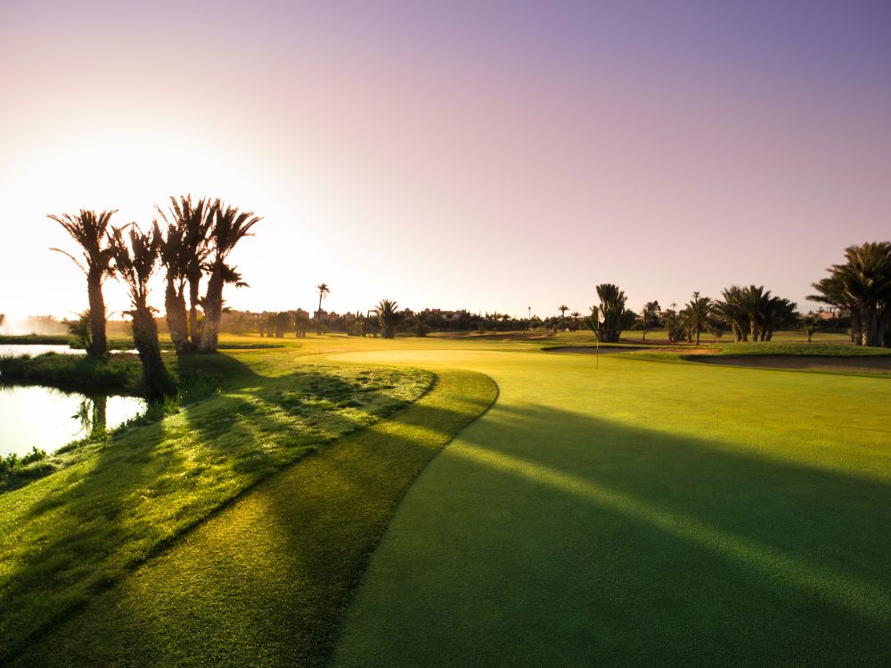 Palmeraie Golf Club