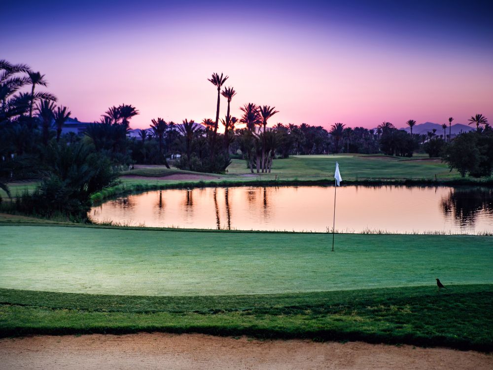 Palmeraie Golf Club