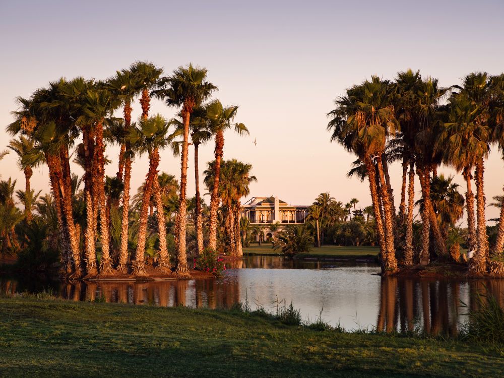 Palmeraie Golf Club