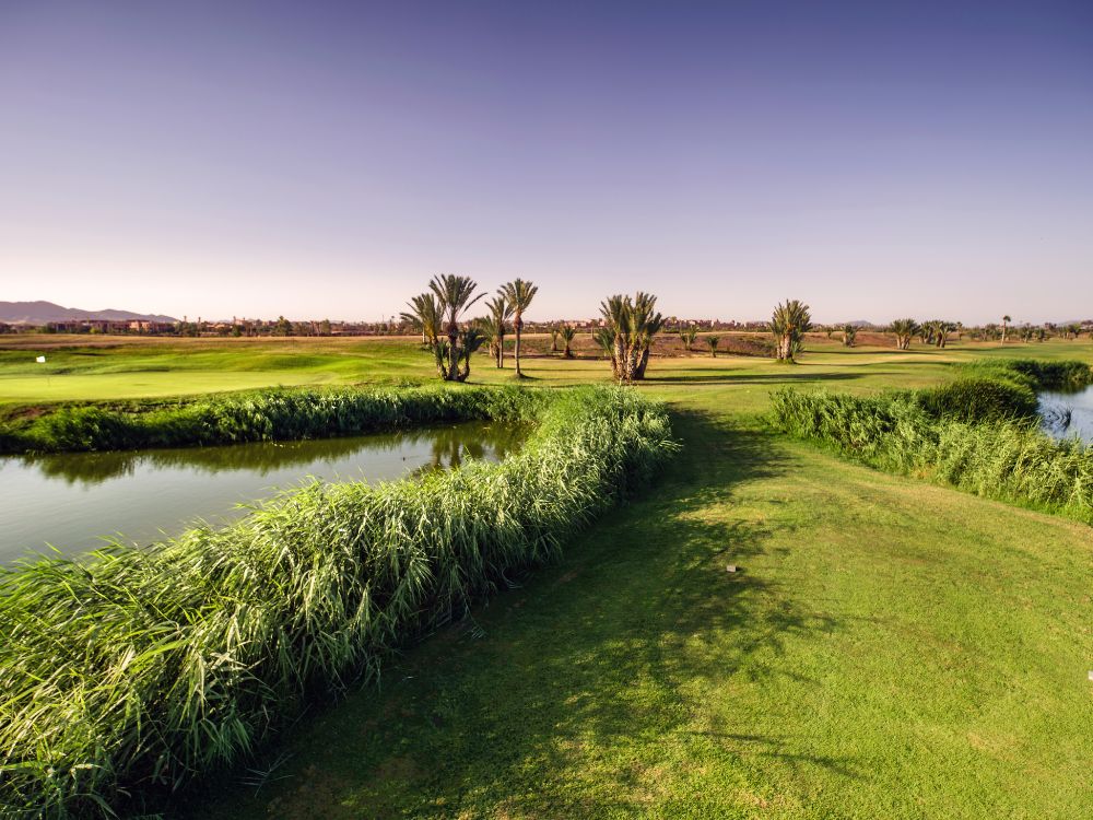 Palmeraie Golf Club