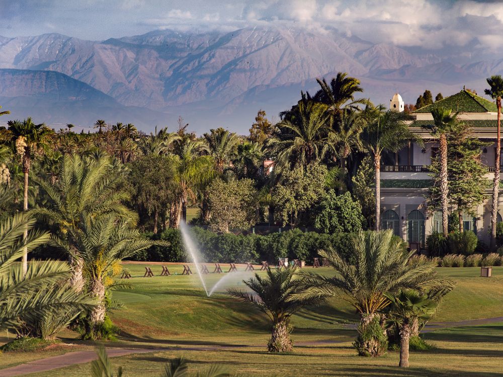 Palmeraie Golf Club